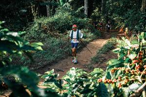 BIB: 
                            <button type="button" onclick="openModal(25847129)" class="btn btn-primary btn-sm float-right btn-popup" data-toggle="modal" data-target=".modal-high-quality">
                        <i class="fas fa-shopping-cart"></i> Add to Cart
                    </button>
                                            <button type="button" onclick="isThisMe(25847129, true)" class="btn btn-success btn-sm float-right btn-popup btn-isme hidden" data-toggle="tooltip" data-placement="bottom" title="นี่คือรูปของคุณใช่ไหม คลิกที่นี่เพื่อเอาเข้าอัลบั้ม">
                        <i class="fas fa-plus"></i> Add to album
                    </button>
                    <button type="button" onclick="isThisMe(25847129, false)" class="btn btn-warning btn-sm float-right btn-popup btn-isnotme hidden">
                        <i class="fas fa-ban"></i> Remove from album
                    </button>